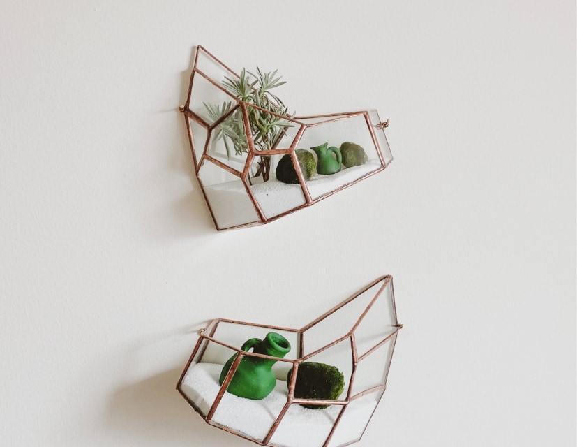 Stylish stands for home plants, for wall hanging